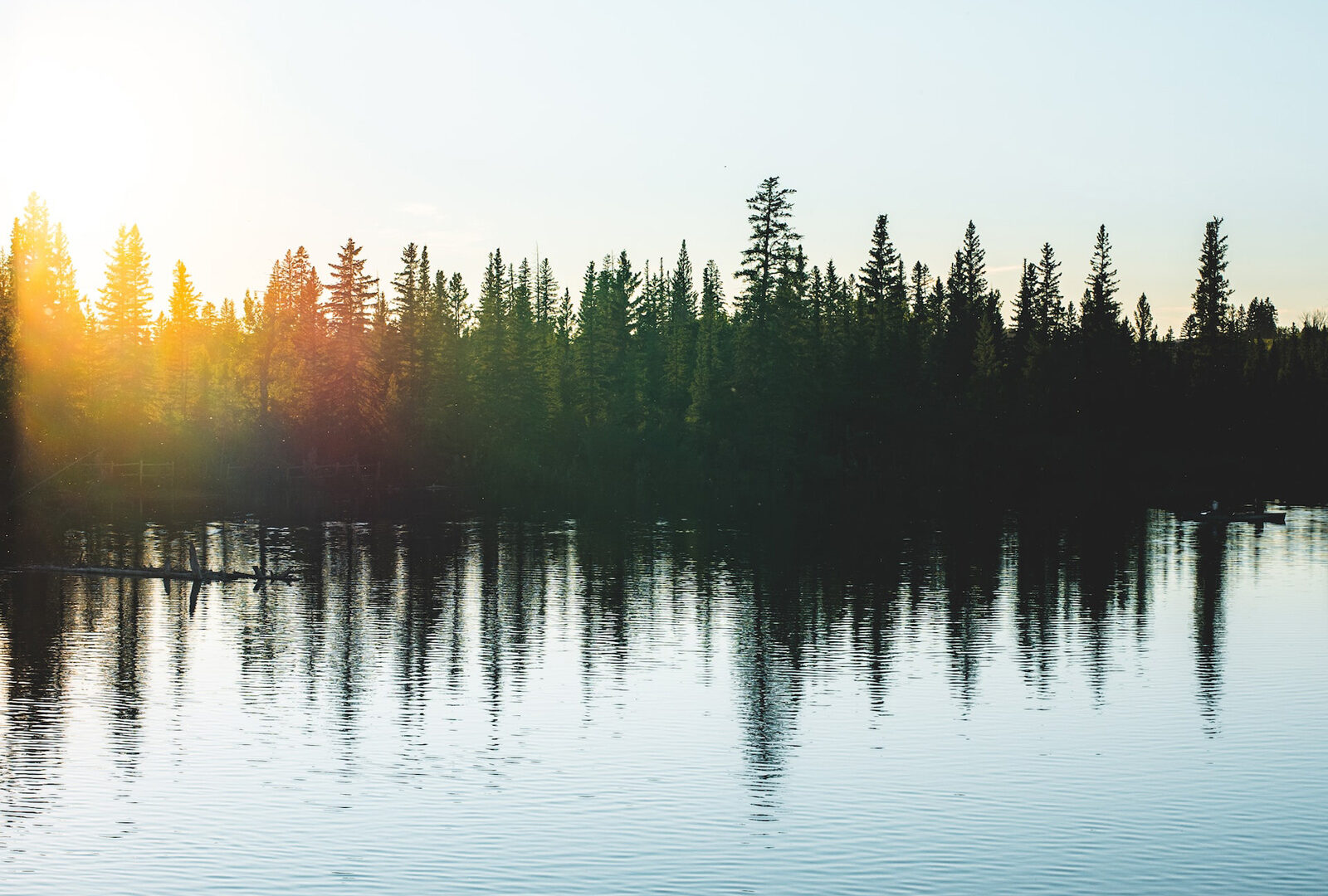 view of trees and reflection on a lake